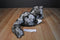 Folkmanis Timber Wolf Puppet Plush
