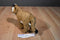 Curto Toys Lynx Plush