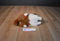 Gund Lassie 1989 Plush and Hardcover Book