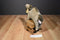 Aurora Oasis the Dromedary Camel Plush