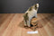 Aurora Oasis the Dromedary Camel Plush