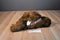 Disney Stores Star Wars Chewbacca Plush