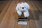 Little Brownie Bakers GSA White Maltese/Bichon Beanbag Plush