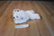 Little Brownie Bakers GSA White Maltese/Bichon Beanbag Plush