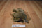 Jungle Joe's Safari Friends Talking Rusty the Rhino Plush