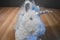 Jo-Ann Fabrics J Bear White and Blue Unicorn 2017 Plush