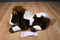 Aurora Brown and White Pinto Paint Horse Pony Beanbag Plush
