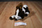 Aurora Brown and White Pinto Paint Horse Pony Beanbag Plush