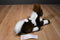Aurora Brown and White Pinto Paint Horse Pony Beanbag Plush