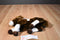 Aurora Brown and White Pinto Paint Horse Pony Beanbag Plush