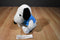 Peanuts Worldwide Snoopy Valley Fair 2010 Plush