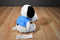 Peanuts Worldwide Snoopy Valley Fair 2010 Plush