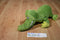 Kohl's Dr. Suess ABC Green Crocodile 2013 Plush