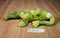 Kohl's Dr. Suess ABC Green Crocodile 2013 Plush