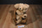 Gund Muttsy Golden Retriever Puppy Dog Plush