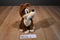 Disney Lady and the Tramp "Scamp" Beanbag Plush with a Bone