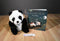 Kohl's Cares Nancy Tillman "It's Time To Sleep My Love" Panda 2015 Plush and Book