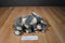 Tybuddies and Babies Eucalyptus Koala 1999 Beanbag Plush