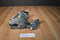 Tybuddies and Babies Eucalyptus Koala 1999 Beanbag Plush