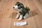 Jaag Mini Grey and Beige Wolf Beanbag Plush