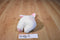 Anne Geddes Baby Bunnies White Bunny 1997 Beanbag Plush