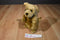 Melissa & Doug Golden Retriever Puppy Plush