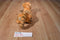Disney Classic Pooh "Tigger" Plush