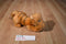 Disney Classic Pooh "Tigger" Plush