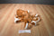 Wild Republic Brown and Orange Spotted Octopus 2012 Beanbag Plush