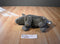 Ganz Webkinz Signature Black Rhino WKSE3104 No Code Plush