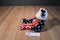 Ty Buddies Spangle Red White and Blue Patriotic Teddy Bear 1999 Beanbag Plush