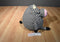 Jay at Play Mushable Pot Bellies Black/White Striped Cow 2012 Plush