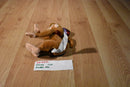 Disney Abu the Monkey Beanbag Plush from Aladdin Movie