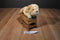 FAO Schwarz Bulldog Puppy Dog Beanbag Plush