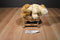 FAO Schwarz Bulldog Puppy Dog Beanbag Plush