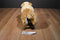 FAO Schwarz Bulldog Puppy Dog Beanbag Plush