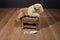 FAO Schwarz Bulldog Puppy Dog Beanbag Plush