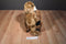 Build a Bear Bearemy Bear 1998 Plush