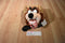 Ace Taz With Candy Cane 1997 Plush