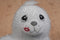 Enesco Tender Tails White Seal and Orange Turtle Beanbag Plush