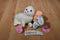 Enesco Tender Tails White Seal and Orange Turtle Beanbag Plush