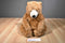 Applause Avanti Brown North American Bear 1982 Plush