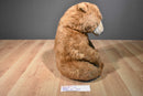 Applause Avanti Brown North American Bear 1982 Plush