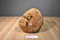 Applause Avanti Brown North American Bear 1982 Plush
