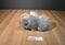 Animal Adventure Grey, White and Yellow Owl 2016 Beanbag Plush