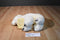 Folkmanis Polar Bear Cub Plush Puppet