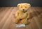 Gund Kearny the Gold Teddy Bear Beanbag Plush