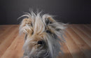 Puppy at Heart Yorkie Yorkshire Terrier Plush Bag Purse