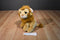 Ty Wild Wild Best Kingston the Lion 2011 Beanbag Plush