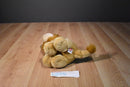 Ty Wild Wild Best Kingston the Lion 2011 Beanbag Plush